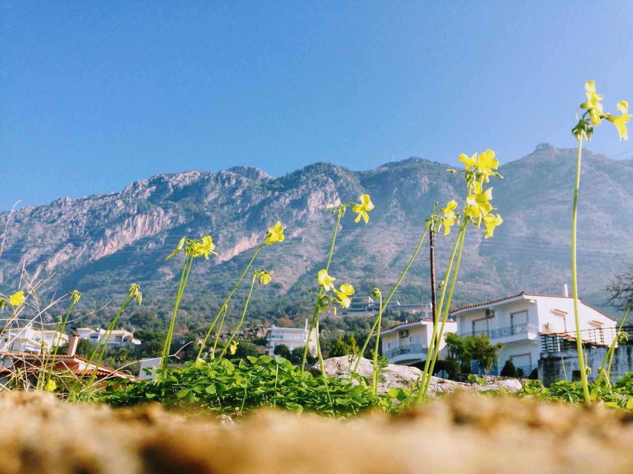 Semiramis Suites With Pool Kalamata Dış mekan fotoğraf